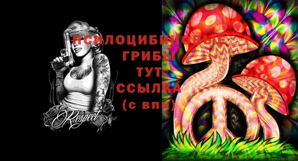 стаф Алексеевка